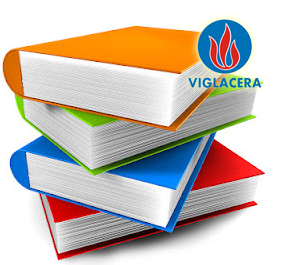 Ban hành Quy chế Quản lý tài chính TCT Viglacera – CTCP