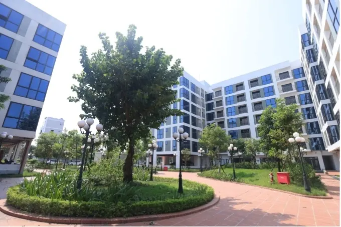 diembao. 261225.viglacera.a2